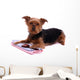 Lying Dog Yorkshire with Wall Decal