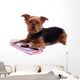 Lying Dog Yorkshire with Wall Decal