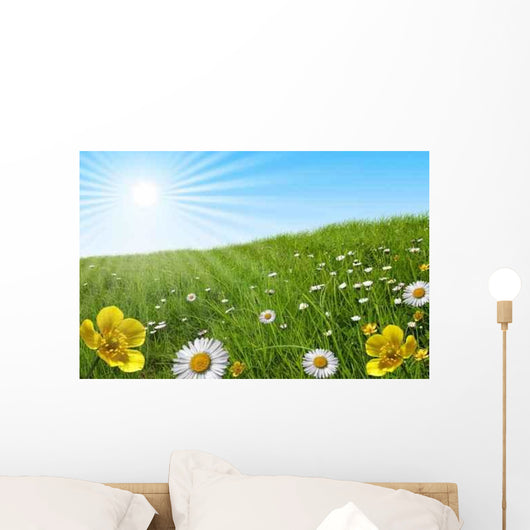 Prairie Paquerette Bouton D'or Wall Decal