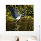 Tricolored Heron Skimming Water Wall Mural