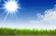 Sunny