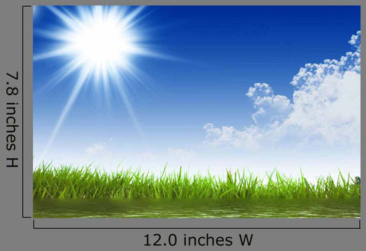 Sunny