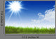Sunny