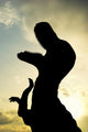 Silhouette T-rex