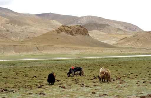 Les Montagnes Du Tibet Wall Decal