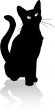 Black Cat