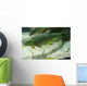 Brown Trout in an Aquarium Wall Mural