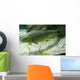 Brown Trout in an Aquarium Wall Mural