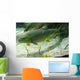 Brown Trout in an Aquarium Wall Mural