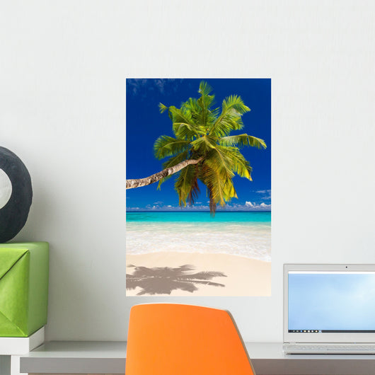 Seychelles Beach Coconut