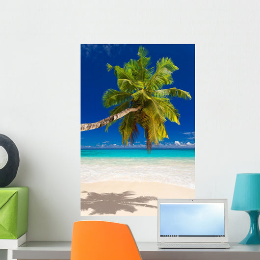 Seychelles Beach Coconut