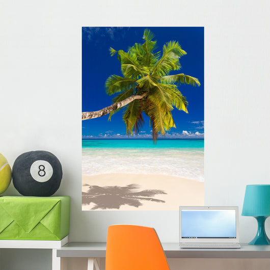 Seychelles Beach Coconut