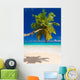 Seychelles Beach Coconut
