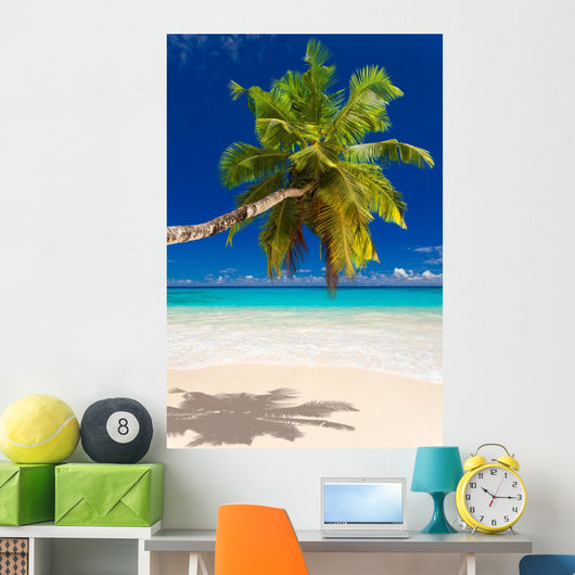 Seychelles Beach Coconut
