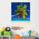 Seychelles Beach Coconut