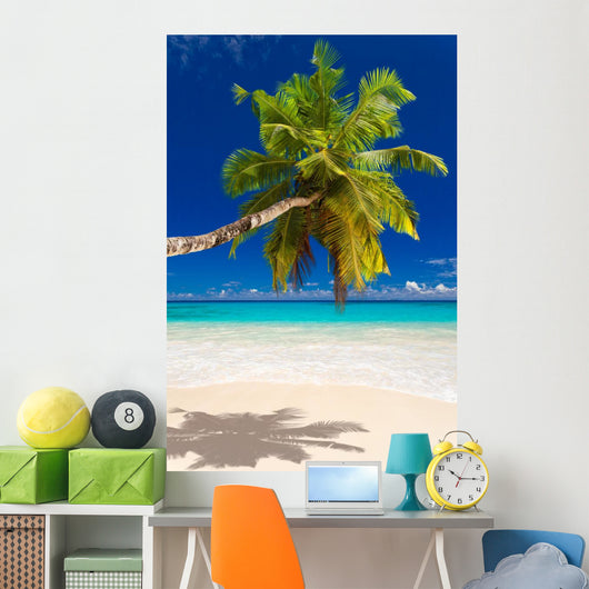 Seychelles Beach Coconut