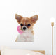 Chihuahua puppy and pink Wall Decal
