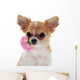 Chihuahua puppy and pink Wall Decal