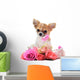 Chihuahua puppy and pink Wall Decal