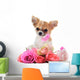 Chihuahua puppy and pink Wall Decal