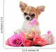 Chihuahua puppy and pink Wall Decal