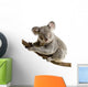 Koala Wall Decal