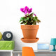 Pot Plant Wall Mural