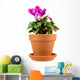 Pot Plant Wall Mural