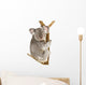 Koala Wall Decal