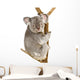 Koala Wall Decal