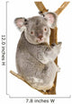 Koala Wall Decal