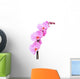 Beautiful pink Orchid, isolated on a white background. Wall Decal