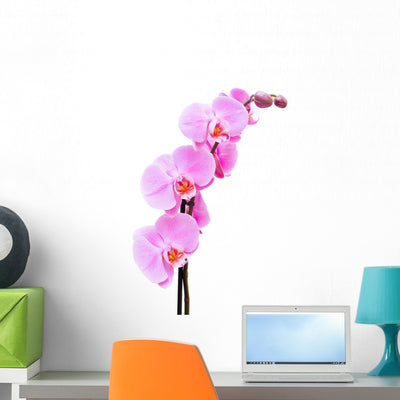 Beautiful Pink Orchid White Wall Decal shown on a wall