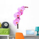 Beautiful pink Orchid, isolated on a white background. Wall Decal