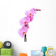 Beautiful pink Orchid, isolated on a white background. Wall Decal