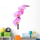 Beautiful pink Orchid, isolated on a white background. Wall Decal
