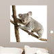 Koala Wall Decal Design 3