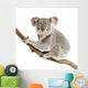 Koala Wall Decal Design 2