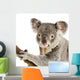 Koala Wall Decal Design 1