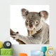 Koala Wall Decal Design 1