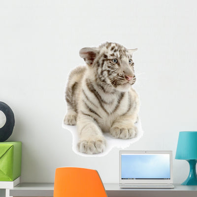 White Tiger from 3 Wall Decal shown on a wall