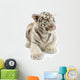 White Tiger From 3 Weeks Wall Decal
