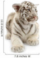 White Tiger From 3 Weeks Wall Decal