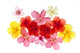 Hibiscus Wall Decal