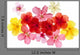 Hibiscus Wall Decal