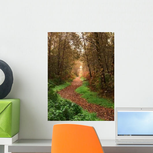 Woodland Walk Wall Decal