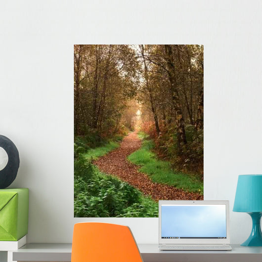 Woodland Walk Wall Decal