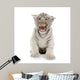 White Tiger from 3 Wall Decal