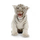 White Tiger from 3 Wall Decal