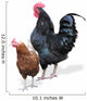 Rooster with the Hen Wall Decal